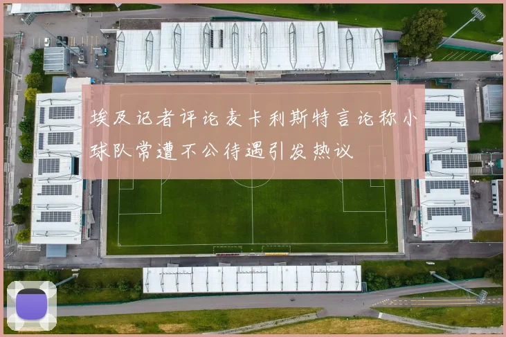 埃及记者评论麦卡利斯特言论称小球队常遭不公待遇引发热议
